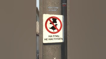 What is hidden behind the bird sign on Train? #cs2 #csgo #csgoroll #cs2moments #counterstrike
