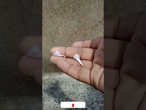 Pop Pop Bomb