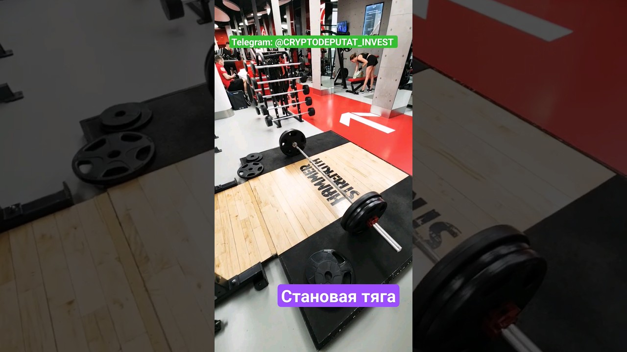 БИЗНЕС И СПОРТ / ТРЕНИРОВКИ И КРИПТОВАЛЮТА / POWERLIFTING / BINGX / TRADING - МОЙ ПУТЬ
