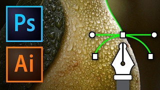 PTS for Begginer :Part 2 How To Use the Pen Tool in Photoshop & Illustrator