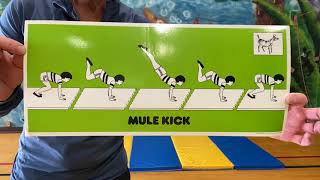 Mule Kick