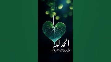 عينا فيها تسمى سلسبيلا #اكسبلور#القرآن_الكريم #تلاوة_خاشعة القارئ الشيخ محمد اللحيدان