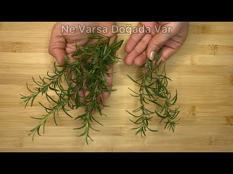 Mix rosemary with these 2 ingredients, a secret that no one will ever tell you!