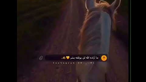تلاوة جميلة | القارئ منذر زيتوني