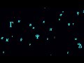 Greek Alphabet Letter Character Symbols Flying at Camera in Space 4K Motion Background for Edits