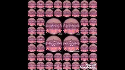 nico multi rendering viva video 4.7.2 round 2