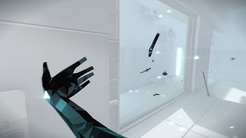 SUPERHOT: MIND CONTROL DELETE invisible glitch