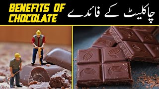 11 Health Benefits of Chocolate, interesting health benefits of chocolate!