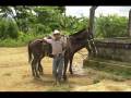 Charanga campesina -Calixto Ochoa - version original.