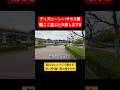 今並ぶのNGは〇列目!ディズニーシー開園待ち攻略法! #ディズニー #ディズニーランド #ディズニーシー #裏技 #disney #tdr #tdl #tds #disneysea