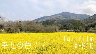 Fujifilm X-S10  クラシックネガ　　幸せの菜の花！