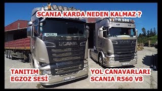 Scania R560 V8 Tir Tanitim Ve İnceleme V8 Egzoz Sesi̇