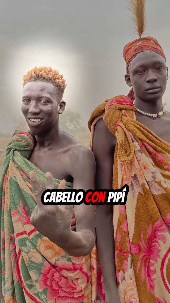 Moda africana con pipí de vaca ???
