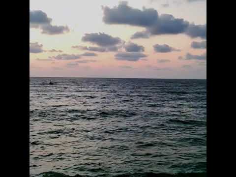 فيديو قصير من مدينة يافا الجميلة عروس البحر