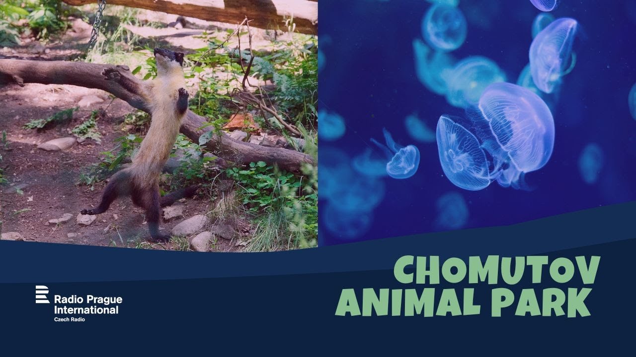 Chomutov Animal Park  | Protecting endangered species: stories from Czech zoos
