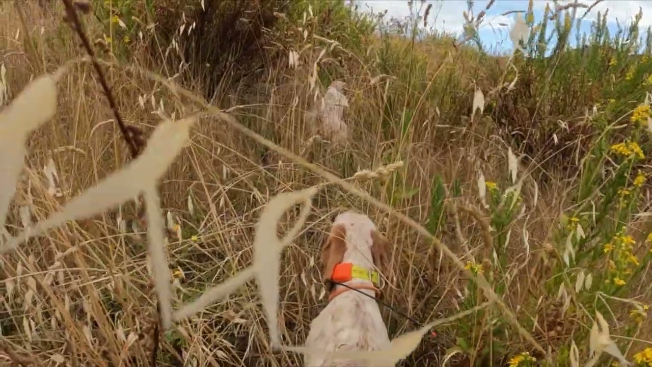 APERTURA 2025 2* GIORNATA