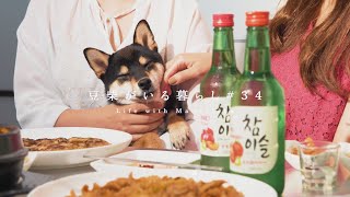 大興奮する柴犬と、仕事仲間をおもてなし。【豆柴暮らし】