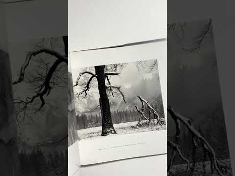 Пейзажна фотографія книга робіт Джона Секстона "Listen to the Trees" Б/У книги з фотографії, видео 1