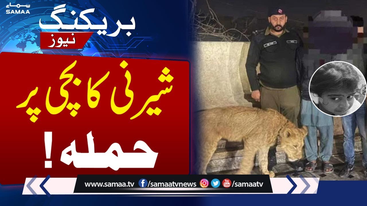 Tiger Attack in Lahore: 8-Year-Old Girl Injured | Police Arrest Suspects | SAMAA TV