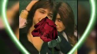 I’ll never stop loving you. ~ David Cassidy