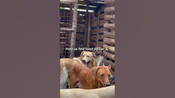 Link in our channel description to help. Every pledge you make is gratefully appreciated.