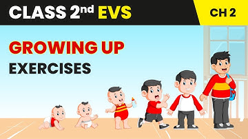 Growing Up - Exercises | Class 2 Environmental Studies Chapter 2 | CBSE 2025-26