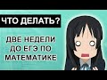 План подготовки к ЕГЭ по математике в последние 2 недели!