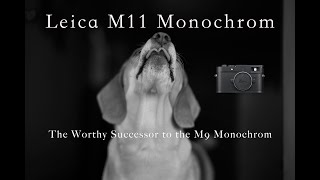 Leica M11 Monochrom: The worthy successor to the M9 Monochrom