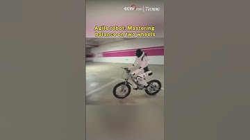 Agile robot: Mastering balance on two wheels