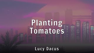 Lucy Dacus - Planting Tomatoes (Lyrics)