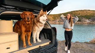 6 / my car camping setup  easy subaru forester conversion!