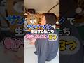 サンバーバンで生活する私たち、車で生活していて怖かったこと3つ!#スバル #日本一周 #軽バン #車中泊 #vanlife #車中泊女子 #SUBARU #サンバーバン #sambar