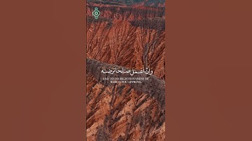 سورة النمل | الآية 19 بصوت بلال دربالي | تلاوة تهز القلوب وخشوع عظيم 🐜✨