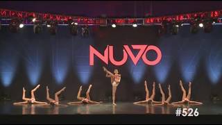 Nurse's Diary - Avi's Dance Project