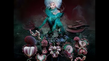 Björk - Fossora | Vinyl Mix [HQ]