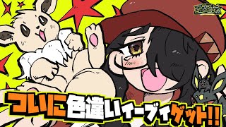 伊東ライフの配信のサムネイル画像