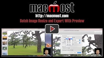 Batch Image Resize and Export With Preview (#1464)