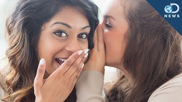 The Science Of Gossip and Rumors