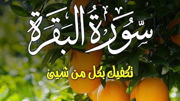 سورة البقرة Surah Al baqara سبحان من خلق هذا الصوت تلاوة فاقت الوصف لزيادة الرزق ولحفظ وتحصين البيت�