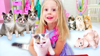 Nastya And Her Kitties Compilation Of Videos For Kids