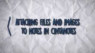 File Attachments in CintaNotes screenshot 4