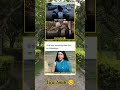 Memes Of The Day ЁЯШВЁЯШВ Memes Memesdaily Shorts Shortvideo Trendingshorts Viralmemes Memes Of The Day ЁЯШВЁЯШВ Memes Memesdaily Shorts Shortvideo Trendingshorts Viralmemes