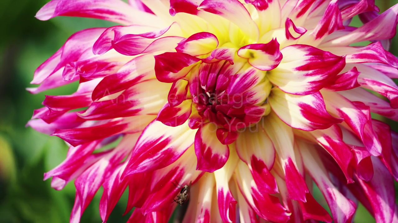 "There is None Other" Original