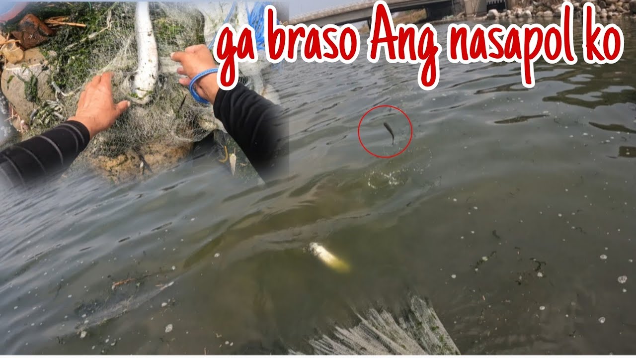  Ga braso.Hindi ko ramdam subalit bigla nalang may pumuti.sa lambat