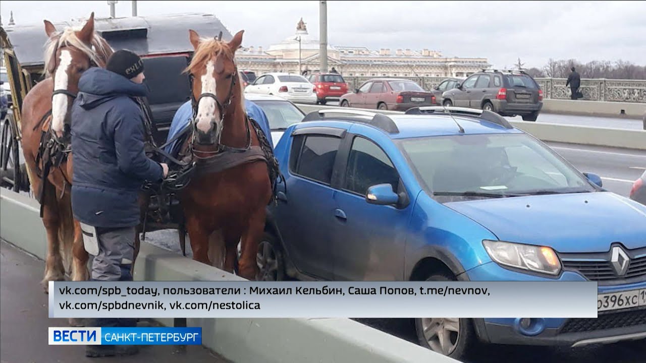 Вести Санкт-Петербург. Выпуск 21:05 от 08.04.2022