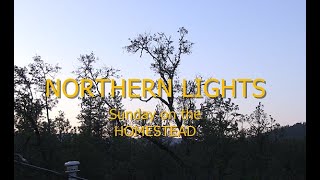 NORTHERN LIGHTS Sunday On The Homestead by PINE MEADOWS HOBBY FARM A Frugal Homestead 145 views 2 days ago 7 minutes, 1 second