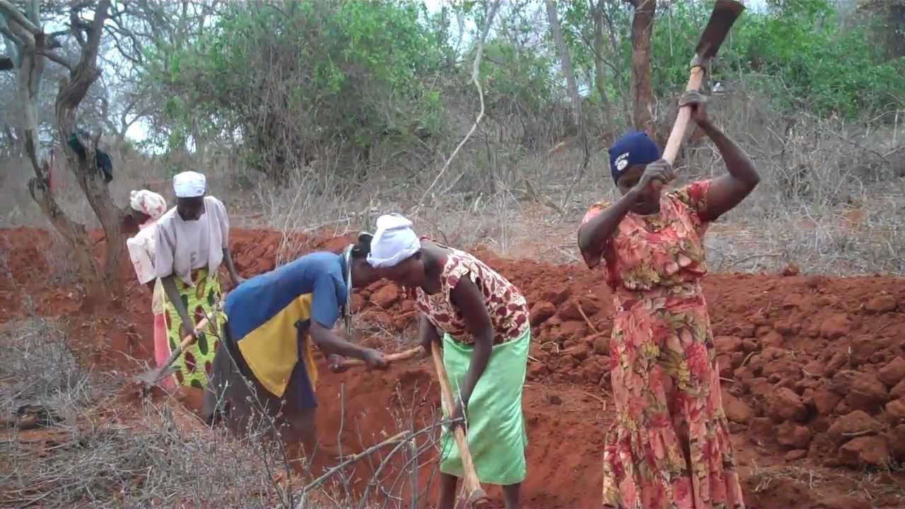 Africa Sand Dam Foundation. YouTube