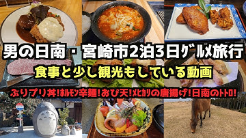 宮崎県産日南どり Youtube