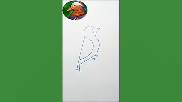 Draw a bird step by step with numbers, drawing birds with numbers, easy drawing, drawing techniques