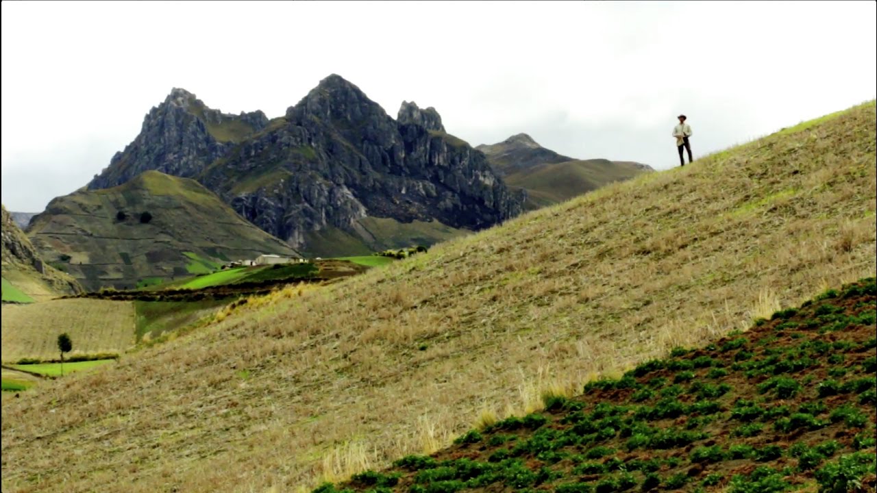 HUMUS HUMUS Cap 03 (Aprende a NUTRIR y FERTILIZAR la Tierra de la COSTA ...